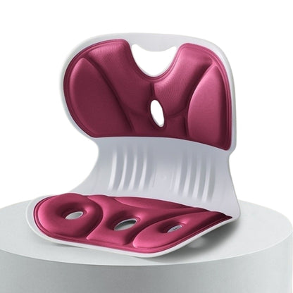 وداعًا لآلام الظهر أثناء الجلوس – راحة ملحوظة خلال أيام